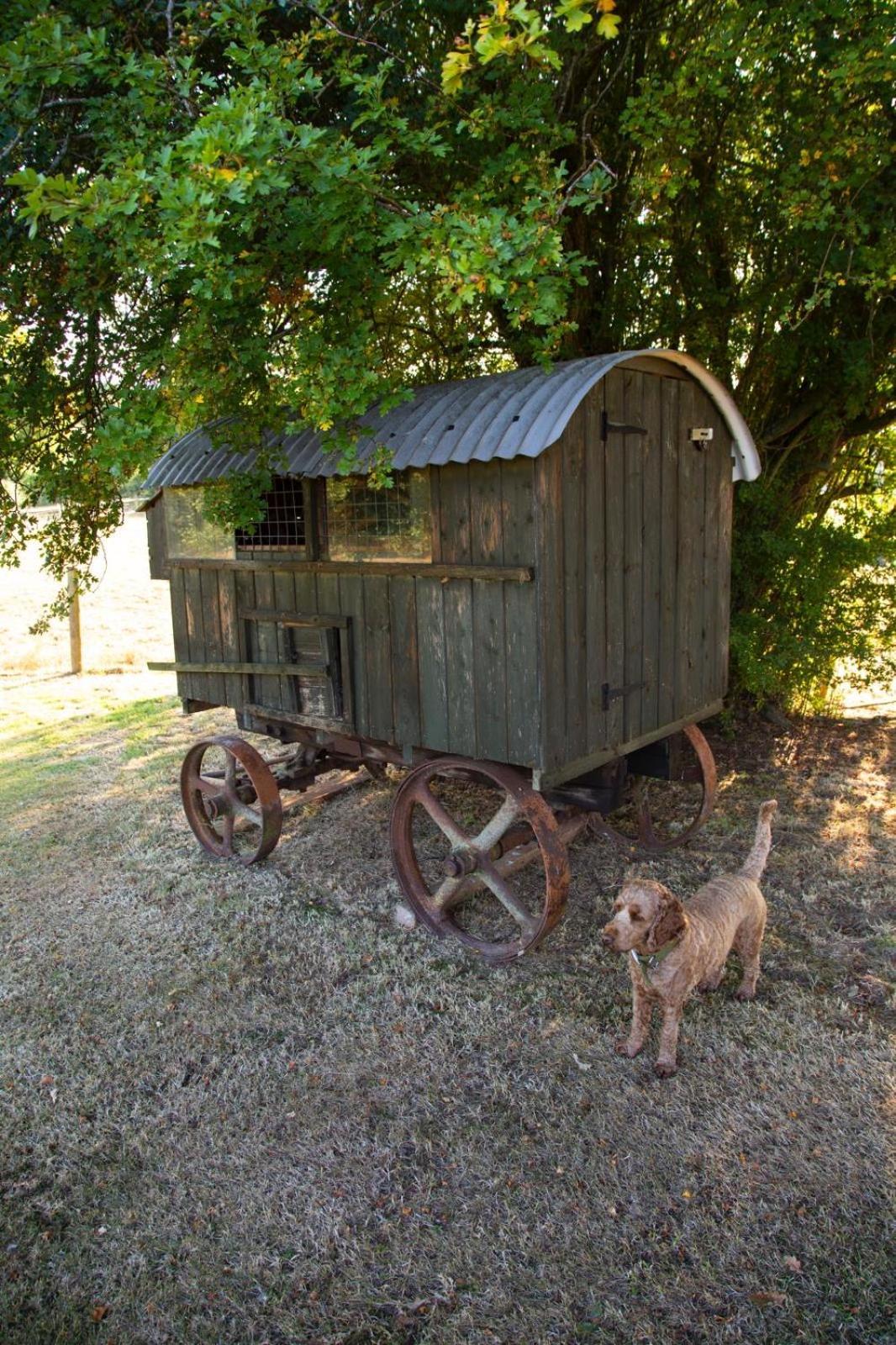 Ebony Cottage เท็นเบอรี ภายนอก รูปภาพ