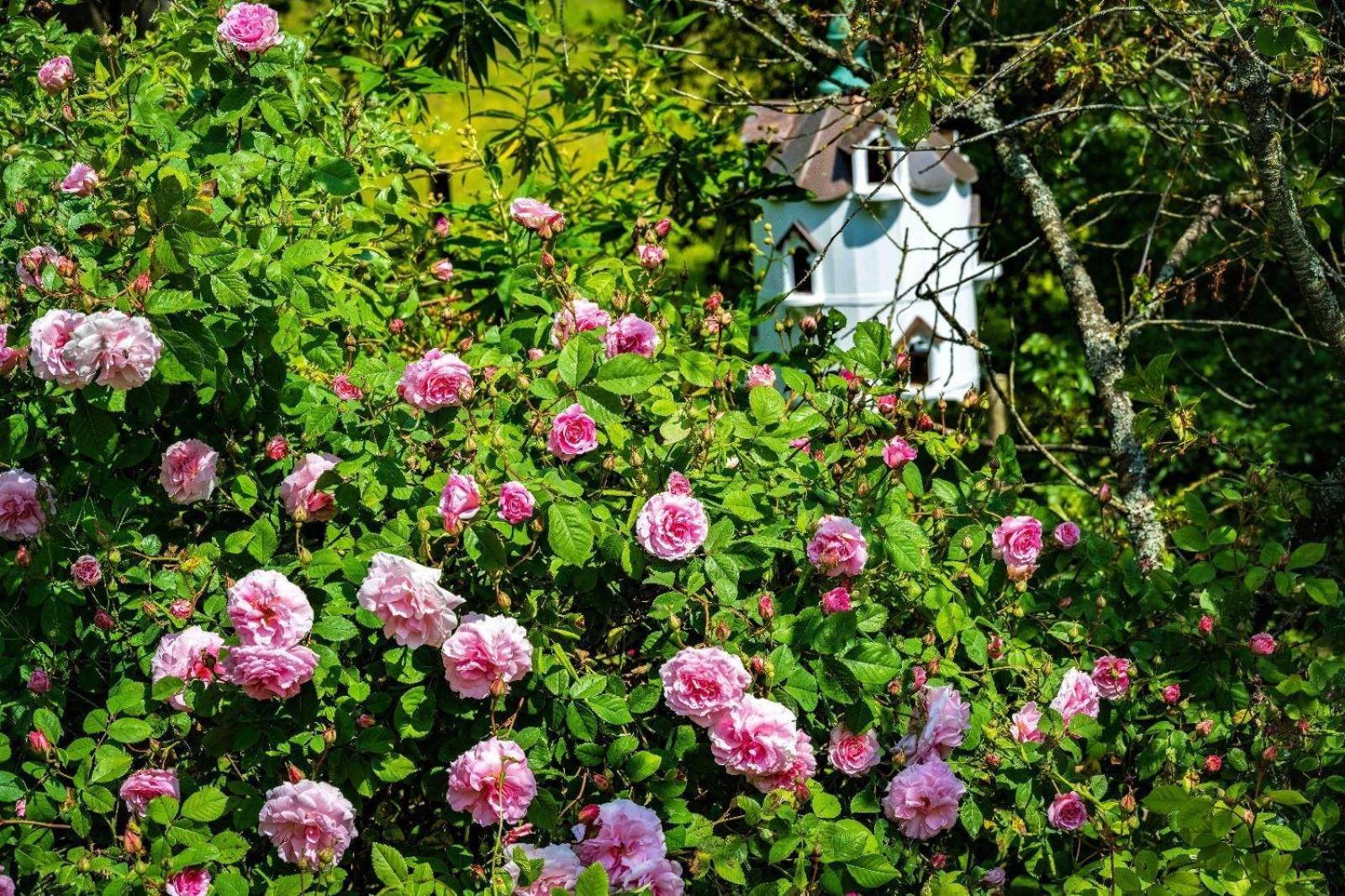 Ebony Cottage เท็นเบอรี ภายนอก รูปภาพ